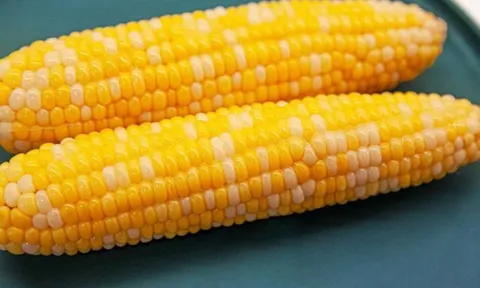 Ăn ngô mỗi ngày suốt 6 tháng, người phụ nữ 60 tuổi bất ngờ khi đi khám